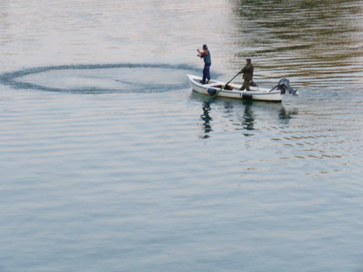 Alla Foce Del Magra - Appartamenti Sul Fiume Con Posto Barca Vicino Cinque Terre Ameglia Buitenkant foto